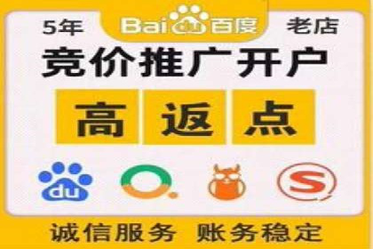 百度竞价公司成功案例：如何实现ROI最大化